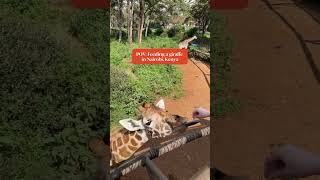 Feeding a Giraffe in Nairobi Kenya [upl. by Millur]