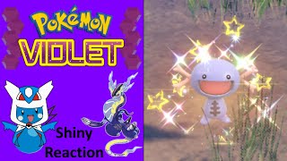 Pokemon Violet Shiny Paldean Wooper Reaction [upl. by Nnylasor]