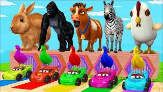 Long Slide Game With Elephant Gorilla Buffalo Hippopotamus Tiger  3d Animal Game  Funny 3d Animals [upl. by Charbonneau]