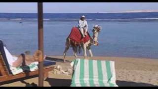 Sharm el Sheikh Egypt Travel Guide [upl. by Donela]