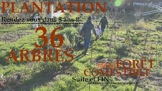 Plantation 36 ARBRES  FORÊT COMESTIBLE 250m²  FIN [upl. by Kelsy]