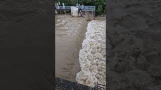 TriestingWehr in Münchendorf am 16092024 triesting hochwasser flood spillway overflow [upl. by Avlem351]