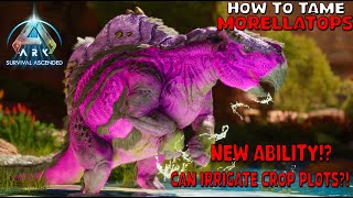 Ark Survival Ascended  How To Tame Morellatops  Scorched earth exclusive New ability [upl. by Grand987]