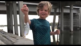 Pinfish Fishing line and hook with Shrimp in Indian Rocks Beach Florida  Ep 5 [upl. by Igiul]