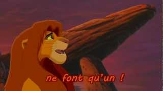 Le Roi Lion 2  Nous sommes un lyrics [upl. by Nike]