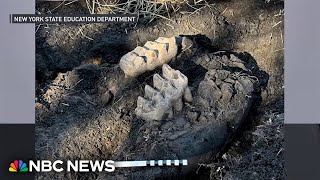 New York man finds complete mastodon jaw in backyard [upl. by Sirtemed]