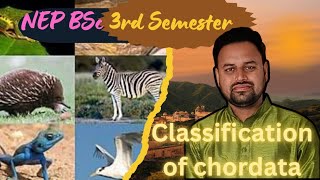 classification of phylumchordataसंघchordata का वर्गीकरणNEP BSc 3rd सेमेस्टर जूलॉजी [upl. by Idieh443]