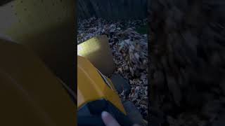 New Waylon Wyatt song and homemade leaf pusher for my lawnmower ￼ [upl. by Ayama]