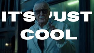 I Loved This Stan Lee Cameo [upl. by Cogn]