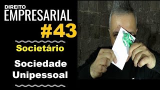 Direito Empresarial  Aula 43  Sociedade Unipessoal [upl. by Aettam]