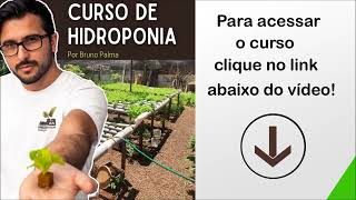 Curso de Hidroponia  Por Bruno Palma nutrientes [upl. by Arekat646]