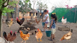 🔴Poderosos consejos al juntar huevos y alimentar las gallinas en el gallinero Alina‼️ [upl. by Giglio680]