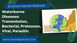 Waterborne Diseases Transmission Bacterial Protozoan Viral Parasitic  Environmental Sciences [upl. by Jenna]