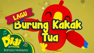 Lagu Kanak Kanak  Burung Kakak Tua  Didi amp Friends [upl. by Lynea762]