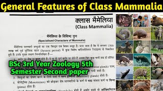 General Characteristics of Class Mammalia  BSc 3rd year Zoology 5th Semester 2nd Paper [upl. by Yelserp]