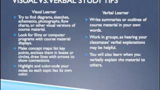 Visual and Verbal Learners iSECURE [upl. by Ayrotal]