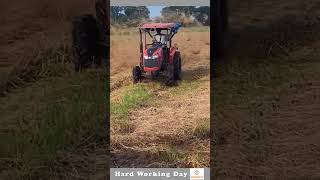 Hard Working Day 170 Dry Hay Spreader In The Field [upl. by Eeladnerb796]