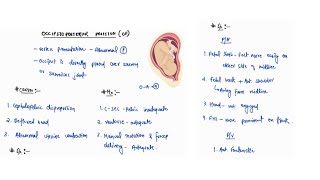 OCCIPTIO POSTERIOR POSITION NOTES  OBSTETRICS  OBGY  ONE PAGE NOTES  4TH PROFF  MBBS [upl. by Beall]