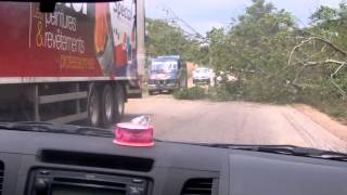 Un gros arbre tombé sur laxe AdzopéAbengourou juste à lentrée du Village Bouapé [upl. by Nikki]