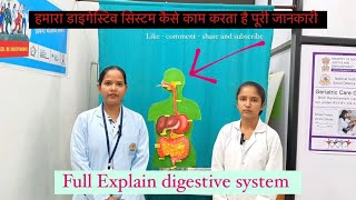 How the Digestive System Works [upl. by Seftton]