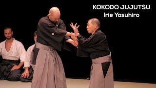 Kokodo Jujutsu avec Yasuhiro Irie  NAMT 2017 [upl. by Ahsinet]