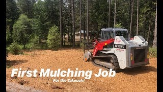 Forestry Mulching with a Skid Steer TAKEUCHI TL12R2 W FAE MULCHER HEAD [upl. by Yniffit277]