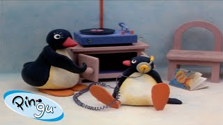 Best Episodes from Season 1  Pingu  Official Channel  Cartoons For Kids [upl. by Jody267]