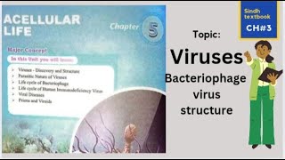 Structure of Bacteriophage virus 🦠 l XI biology l A cellular life [upl. by Blake]