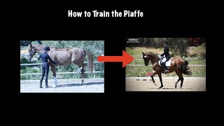 How to Train the Piaffe [upl. by Nyliahs68]