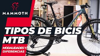 Tipos de bicicletas MTB modalidades y diferencias [upl. by Oicnerolf]