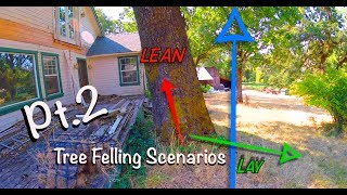 Tree Felling Scenarios Pt2 [upl. by Kazim831]