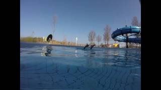 Kardinge Swimming Pool Groningen [upl. by Casimir583]