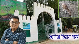 এই ধরনের হরিণ শুধুমাত্র পৃথিবীর মালদাতেই দেখতে পাওয়া যায়  Adina Deer park of Malda [upl. by Idet]