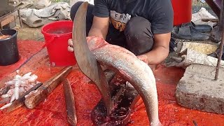 amazing silverfish marketfishcutting fishcuttingskills fishcuttingchittagong speedcutting food [upl. by Denby]