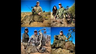 Ramos Hunts amp Video Lucky Seven Javelina Bowhunts [upl. by Grimona]