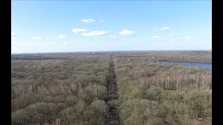 ParisRoubaix  focus sur la trouée dArenberg [upl. by Conners636]