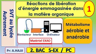 Réactions de libération dénergie emmagasinée dans la matière organique [upl. by Ayaet]