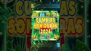 Cumbia Sonidera 2024Tema De Estreno [upl. by Brandtr]