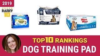 Best Dog Training Pad Top 10 Rankings Review 2019 amp Buying Guide [upl. by Adnalro]