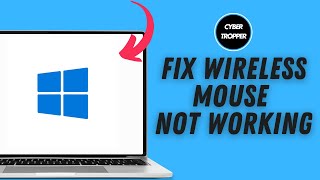 How to Fix Wireless Mouse Not Working on Windows [upl. by Nilahs991]