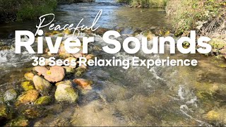 Relaxing River Sounds  Peaceful River Sounds  38 Seconds  Nature Video  Turbigo Lake 🇮🇹 [upl. by Earl]