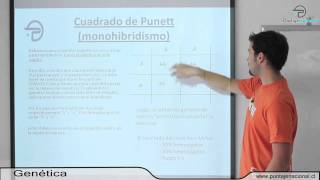 BIOLOGIA MC  Variabilidad herencia y evolución  Genética [upl. by Aira]