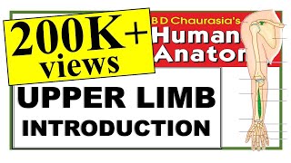 Chp1  Upper Limb Introduction  BD Chaurasia Regional Anatomy  Dr Asif Lectures [upl. by Aibsel402]