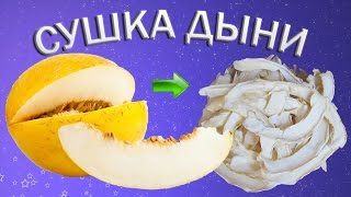 Сушеная дыня в сушилке для фруктов [upl. by Demetria]