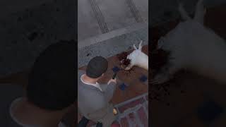 Impudent dog in GTA 5 gta5 gta6 dog [upl. by Atinev]