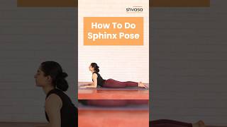 How To Do Sphinx Pose or Salamba Bhujangasana sphinxpose salambabhujangasana [upl. by Ahsenod]