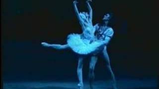 Bolshoi Swan Lake  Pas daction of Odette and Sigfried 2 [upl. by Lamont]