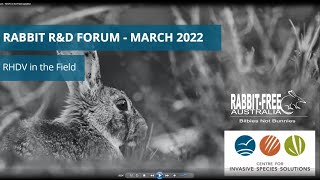 Rabbit Forum  RHDV in the Field Updated [upl. by Tterej]