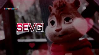 🔻Burunduqlar  SEVGI💗 Official Video Uzmir amp Mira [upl. by Elocim869]