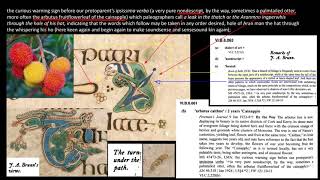 Lecture Reading Finnegans Wake I5 two units from page 121 [upl. by Cowan]